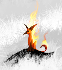 fire.jpg