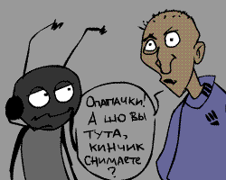 16.gif