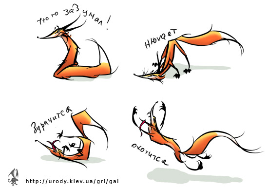 fox copy.jpg