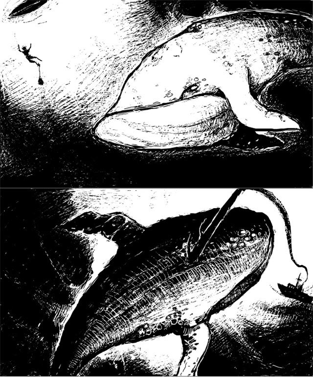whales2.jpg