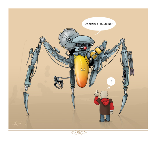 spider.jpg