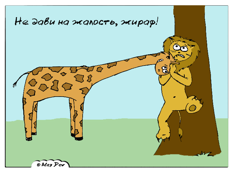 DSCN9230.jpg