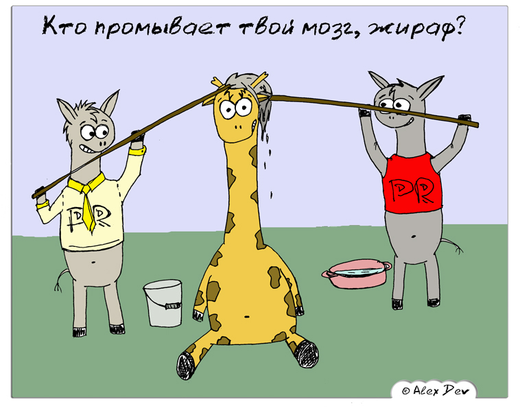 DSCN9238.jpg