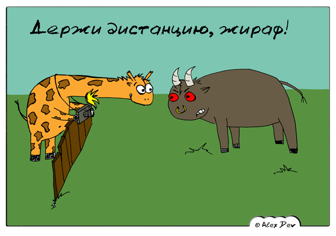 DSCN9248.jpg