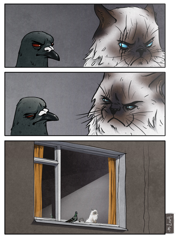ytro.jpg