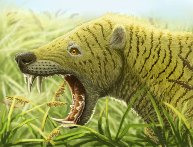 Hyaenodon horridus2.jpg