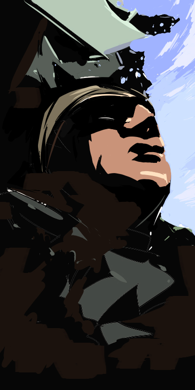 Hawk.jpg