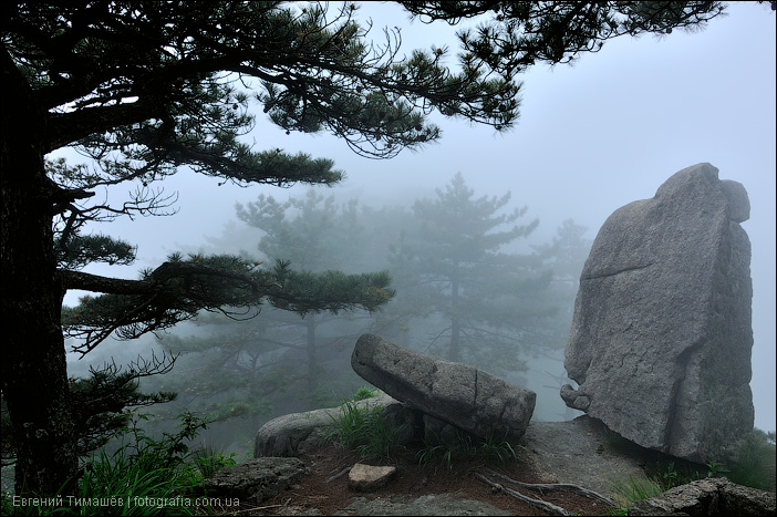 DSC_0180.jpg