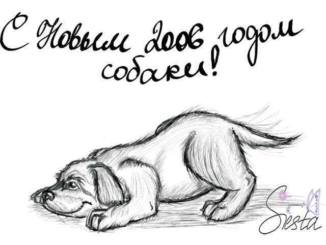 doggi.jpg
