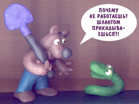 miszka.jpg