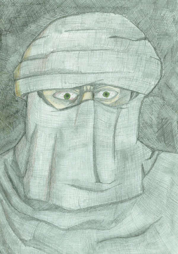 Portret-ninja.jpg