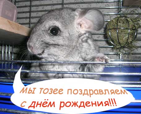 DSCN4512.jpg