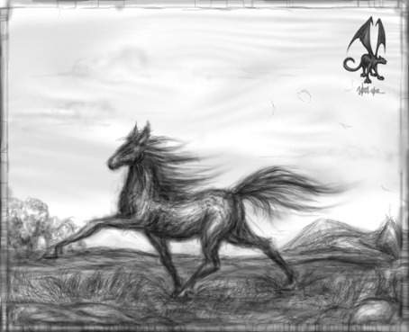 horse.jpg