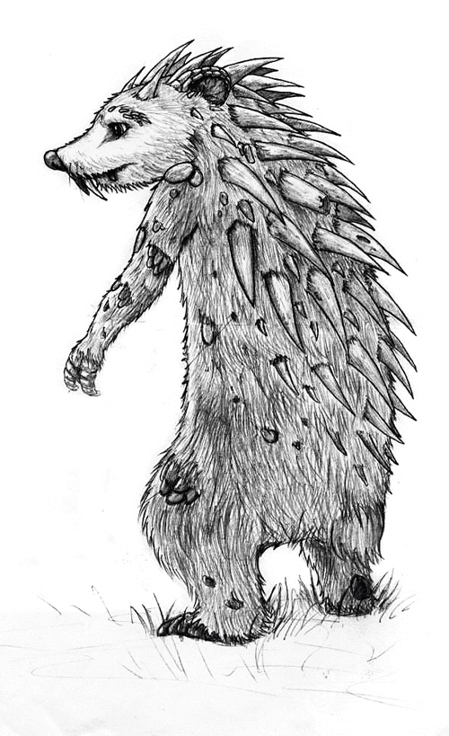 Саблезубая ехидна.jpg