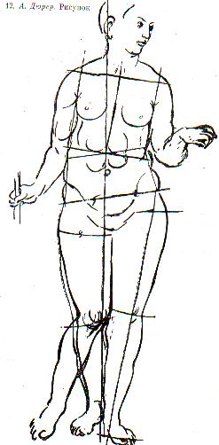 Durer.JPG