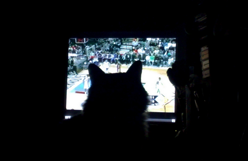 Копия 0000wg1h.jpg