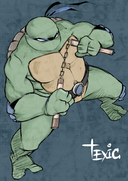 Turtle.jpg