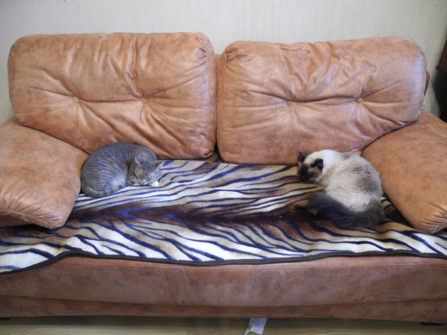 DSCN4855.JPG