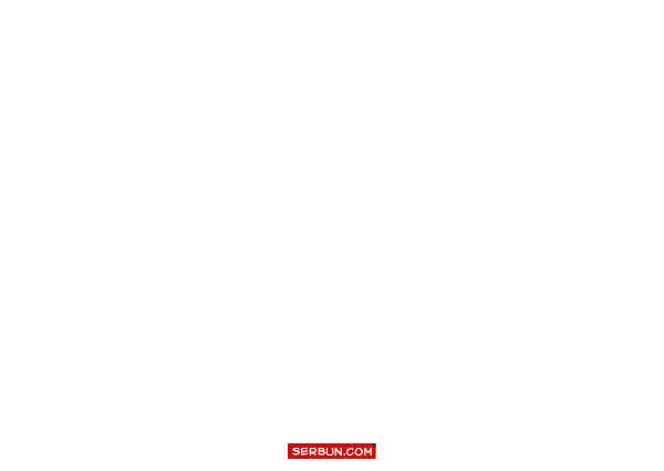 pir_an.gif