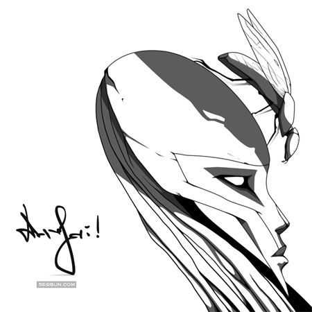 srb_inst_fly_w.jpg
