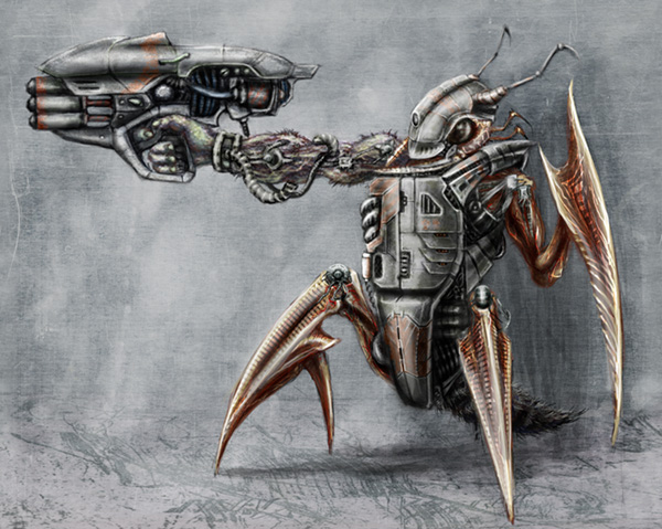 bug1s08.jpg