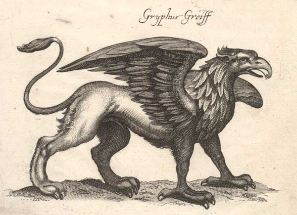 Grif011.JPG