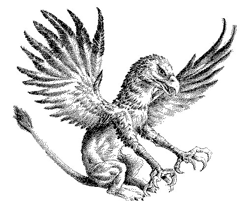 griffin.JPG