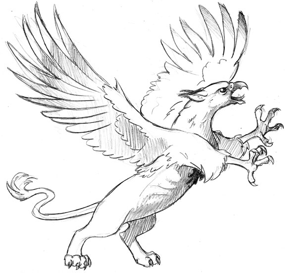 Grifff-On.jpg