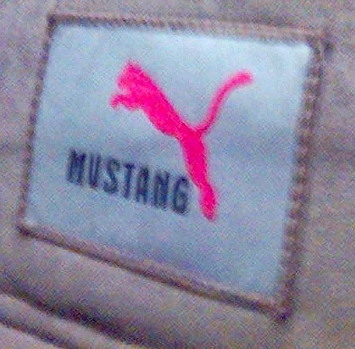 mustang.jpg