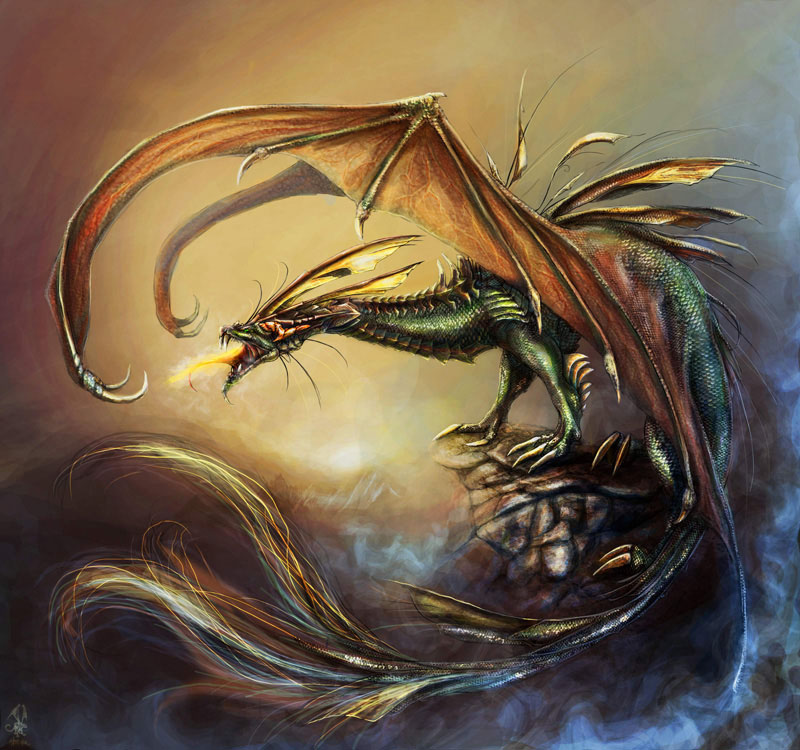 dragon33.jpg
