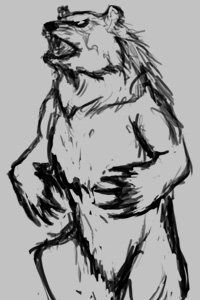 bear.jpg