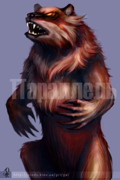 Bear.jpg