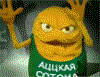 10251657.gif
