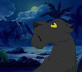 Nuit.gif