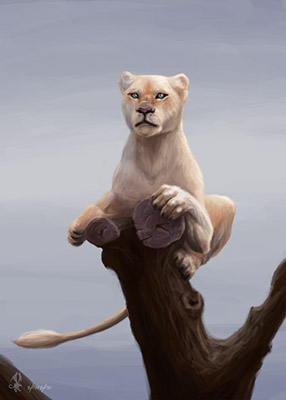 lion.jpg