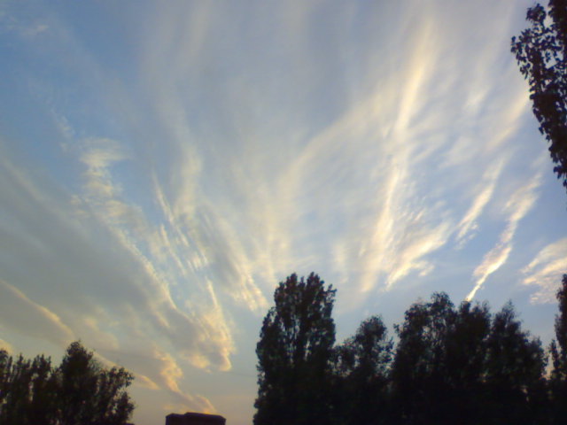 DSC00884.JPG