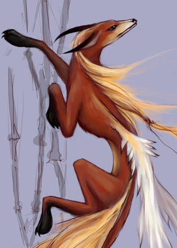 foxyk.jpg