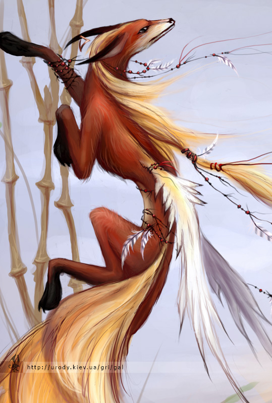 foxyk_fragment01.jpg