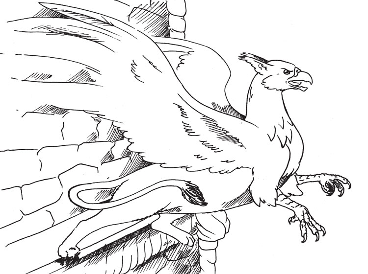 Griffon.jpg