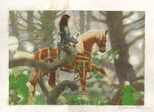 13537.jpg