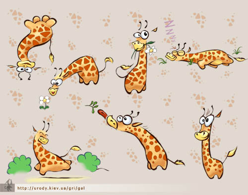 jirafiki.jpg