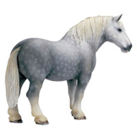 39822501_m.jpg