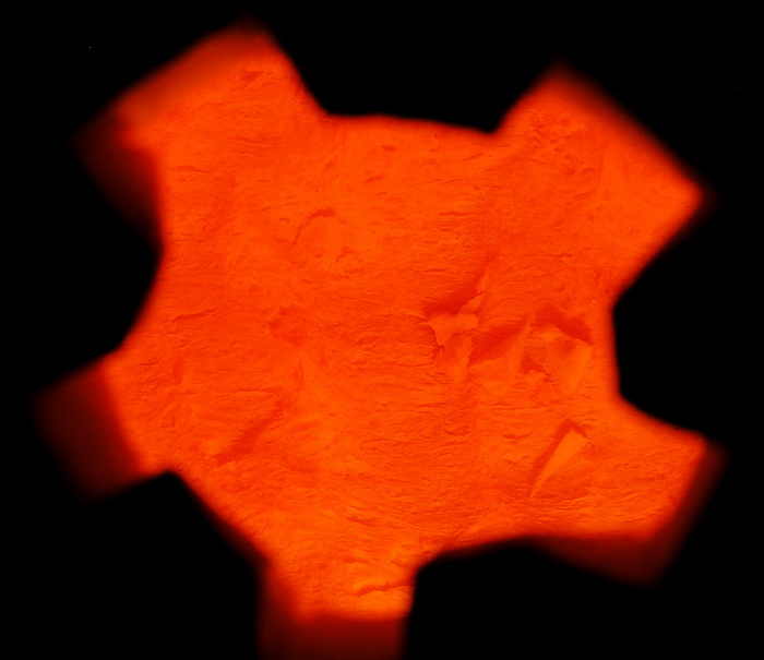 Pumpkins_08.jpg