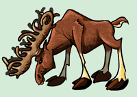 elkbig.gif