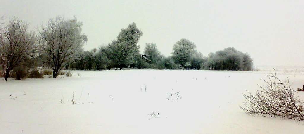 07012009198.jpg