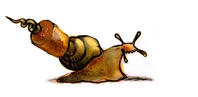 escargot2.jpg